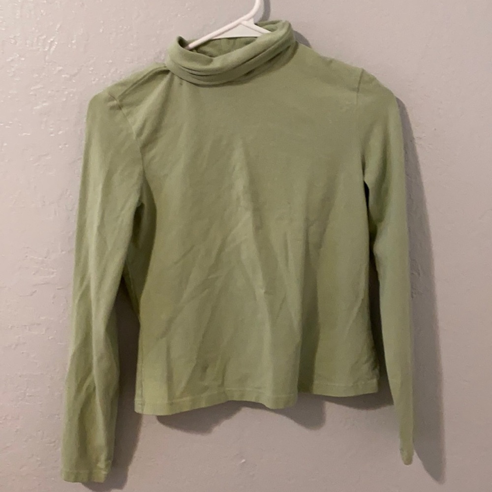 Sage turtle neck